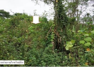 Empty land, Mai Suan Dok Kham, Lampang