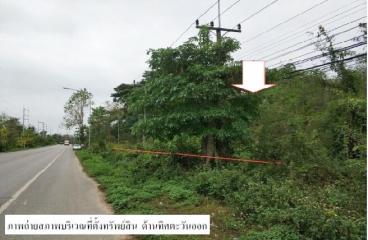 Empty land, Mai Suan Dok Kham, Lampang