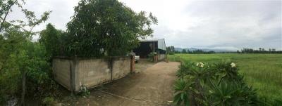 Half-timbered house, Phayao