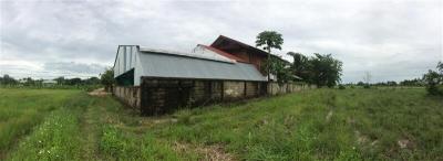 Half-timbered house, Phayao