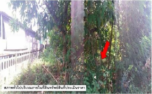 ที่ดินว่างเปล่า ยโสธร