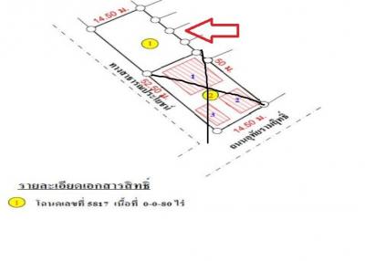 ที่ดินว่างเปล่า ยโสธร