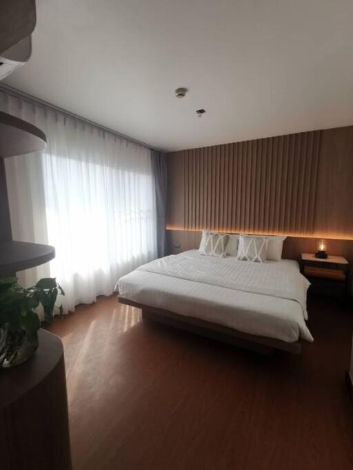 Cozy bedroom with natural lighting and wooden wall paneling