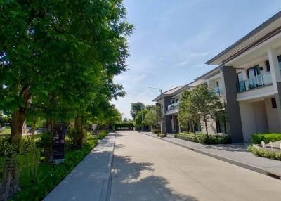 Quiet suburban street with modern houses and lush greenery