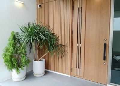 Modern home entrance with wooden door and decorative plants