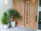 Modern home entrance with wooden door and decorative plants