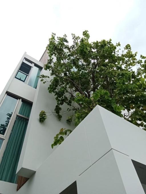 Exterior view of a modern building with trees
