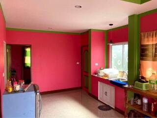 Brightly painted kitchen with contrasting green and red walls and modern appliances