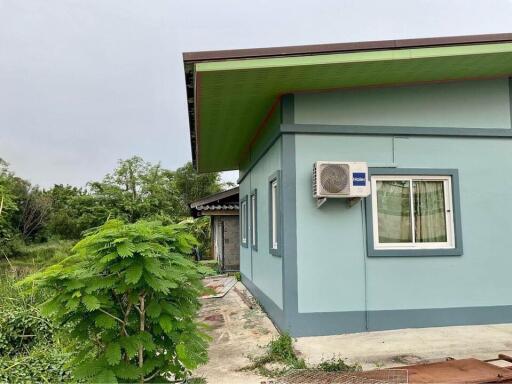 Exterior view of a single-story house with green plants