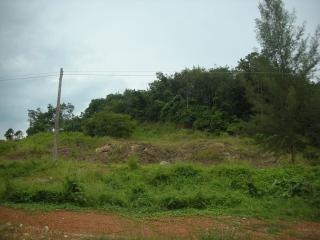 Undeveloped land with greenery and overcast sky