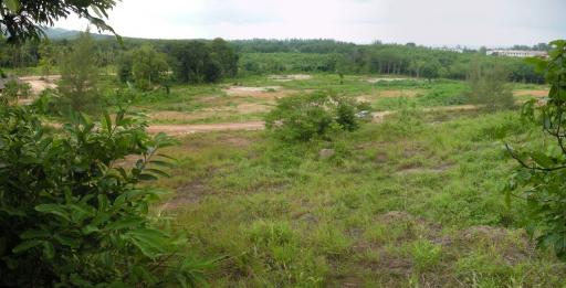 Expansive undeveloped land with greenery and clear skies
