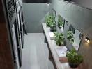Modern building balcony with green plants and outdoor sink