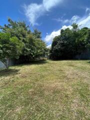 Spacious backyard with lush greenery and clear skies