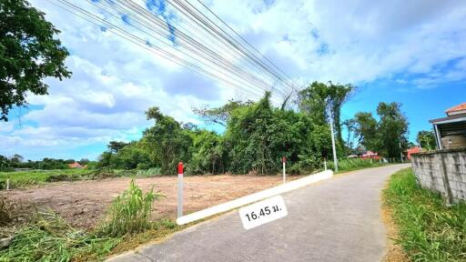 Land plot in Sattahip area for sale