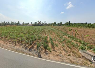 Land for sale - 1 Rai near the main road