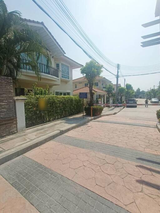 Suburban street view with a two-story house and palm trees