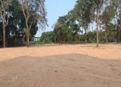 Beautiful and Big Land plot for sale