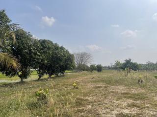 Spacious open land with trees under clear blue sky