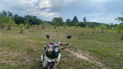 Rural landscape with a scooter in the forefront of a plantation field