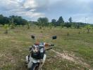 Rural landscape with a scooter in the forefront of a plantation field