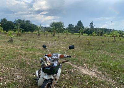 Rural landscape with a scooter in the forefront of a plantation field