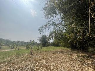 Spacious outdoor area with trees and clear skies