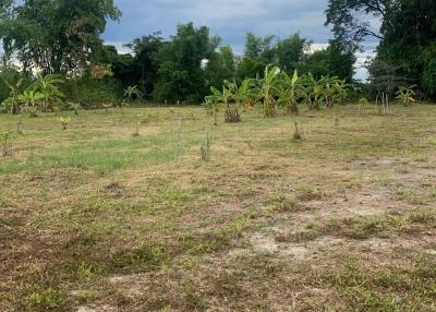 Spacious outdoor area with potential for development or landscaping