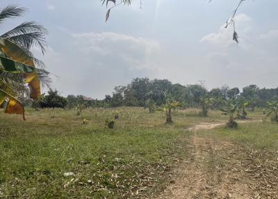 Spacious rural land with greenery and clear skies