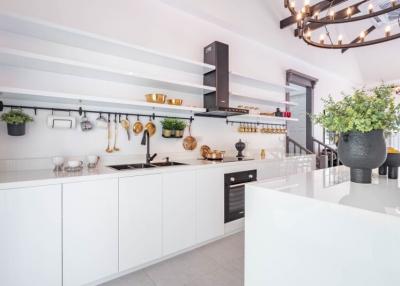Modern white kitchen with stainless steel appliances and plant decoration