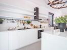 Modern white kitchen with stainless steel appliances and plant decoration