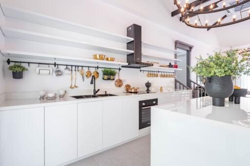 Modern white kitchen with stainless steel appliances and plant decoration