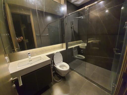 Modern bathroom with dark tiles and glass shower enclosure