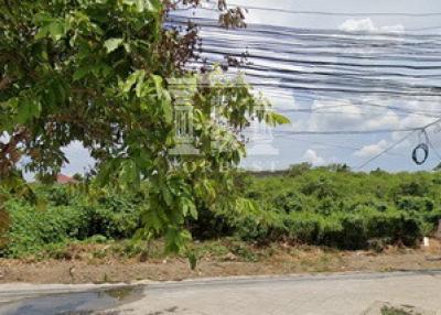 38359 - Empty land for sale. Chaloem Phrakiat Road Next to the main road, accessible to Bangna 2, area 394 sq wa