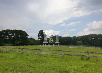 90248 - Land for sale, Green Mountain Valley, Pak Chong, Nakhon Ratchasima.