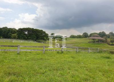 90248 - Land for sale, Green Mountain Valley, Pak Chong, Nakhon Ratchasima.