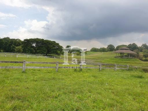 90248 - Land for sale, Green Mountain Valley, Pak Chong, Nakhon Ratchasima.