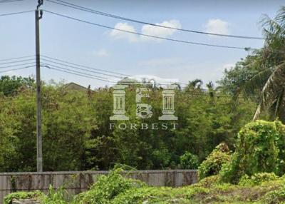 41092 - Land for sale in Evergreen Village, Kanchanaphisek, area 185 sq m.