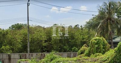 41092 - Land for sale in Evergreen Village, Kanchanaphisek, area 185 sq m.