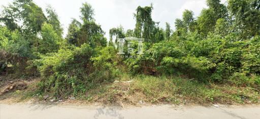 42607 - Land for sale, 3 rai, Lat Pla Duk Road, Bang Bua Thong, near the Purple Line.