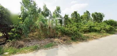 42607 - Land for sale, 3 rai, Lat Pla Duk Road, Bang Bua Thong, near the Purple Line.