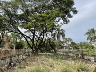 42004 - Phatthanakan 65 Land for sale, area 123 sq.wa., near Airport Link Hua Mak.