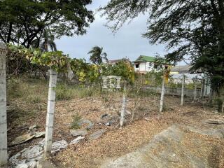 42004 - Phatthanakan 65 Land for sale, area 123 sq.wa., near Airport Link Hua Mak.