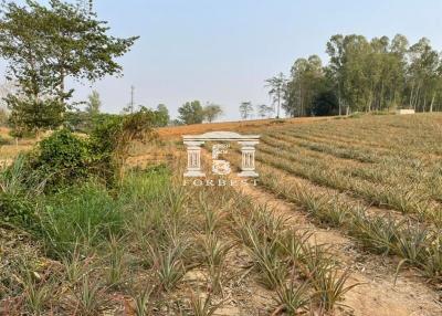 42110 - Land, beautiful plot on a hill, beautiful view, Chiang Rai Province, area 66 rai.