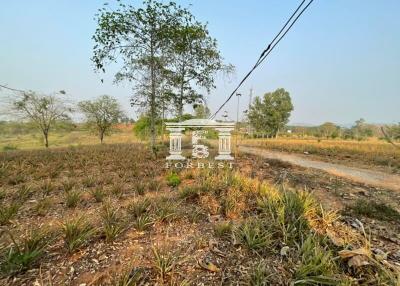 42110 - Land, beautiful plot on a hill, beautiful view, Chiang Rai Province, area 66 rai.