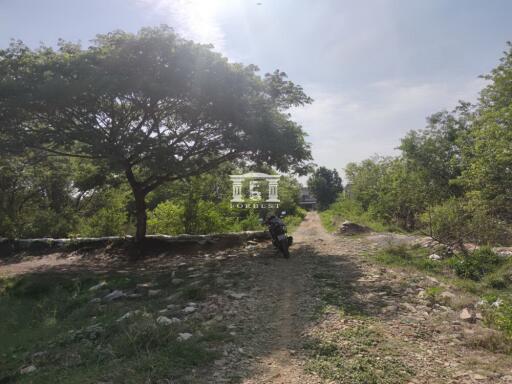 43039 - Land for sale in Hathairat, area 8 rai, near Khlong Sam Wa District Office.