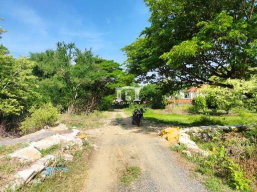 43039 - Land for sale in Hathairat, area 8 rai, near Khlong Sam Wa District Office.