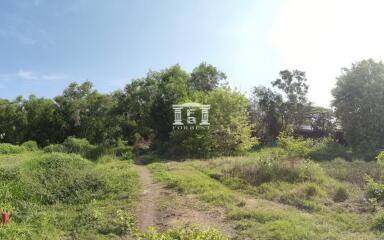 43039 - Land for sale in Hathairat, area 8 rai, near Khlong Sam Wa District Office.