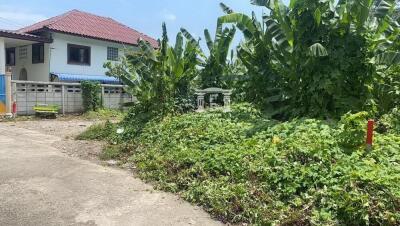 90736 - Land for sale in Ekkachai, area 184 sq w., near BTS Wutthakat.