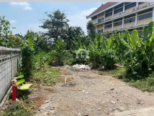 90736 - Land for sale in Ekkachai, area 184 sq w., near BTS Wutthakat.