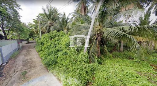 90520 - Land for sale, area 5-1-89 rai, Ratchaphruek, near BTS Bang Wa.